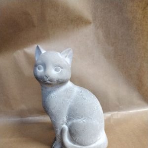 Chat assis béton