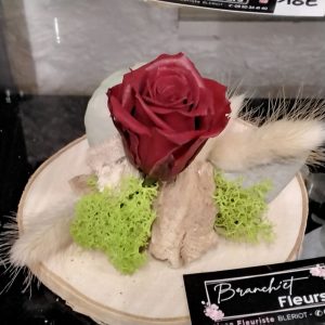 Rose sur rondin