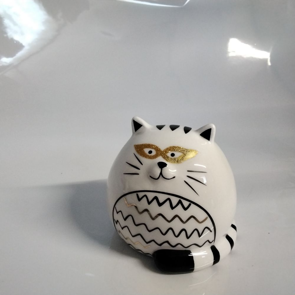 Chat masqué dodu