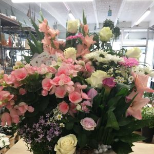 coupe de plante avec fleurs coupées