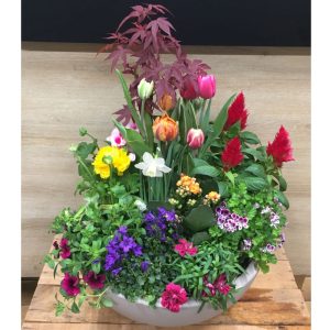 Jardin sauvage