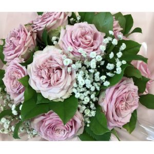 Douceur de Rose