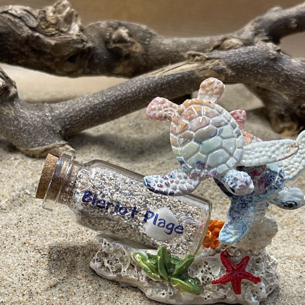 tortue avec bouteille de sable – Image 2