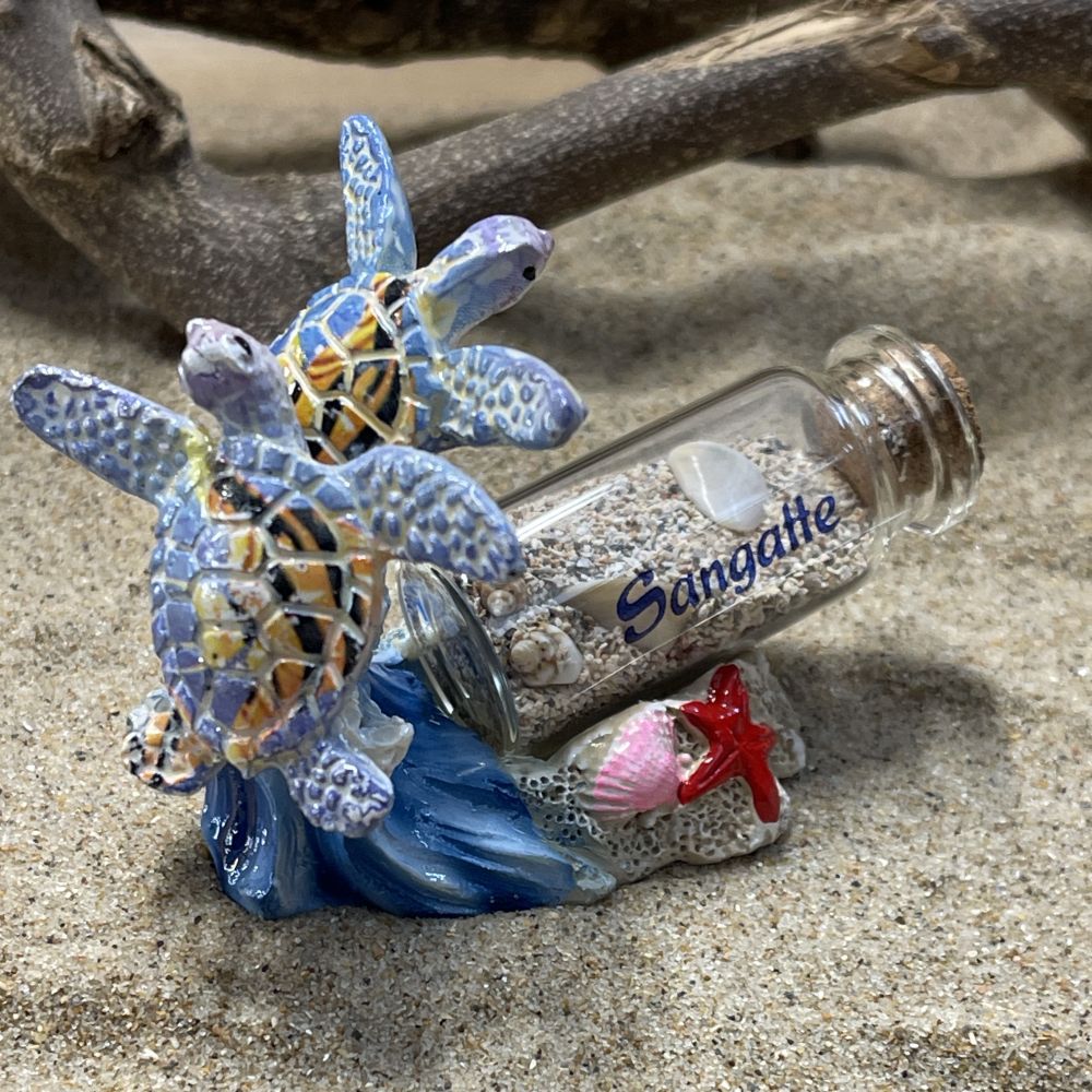 tortue avec bouteille de sable – Image 3
