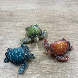 Petite Tortue