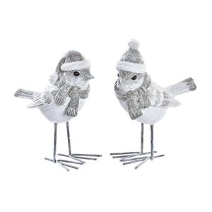 oiseaux