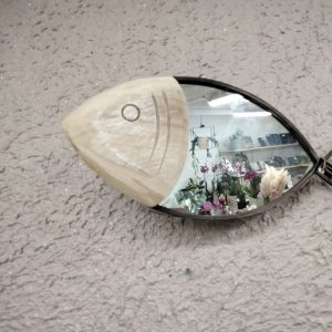 Miroir poisson 'rhodes'