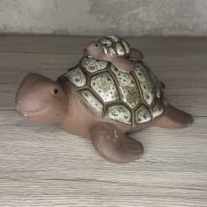 Tortue dooly olive & black