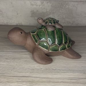 tortue dooly vert avec son bébé
