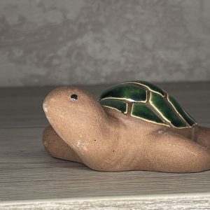 tortue dooly vert