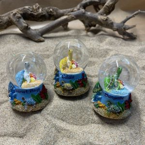 boule à neige tortue