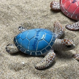 magnet tortue coloré