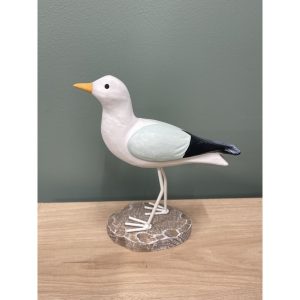 mouette