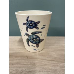 verre tortue kempy