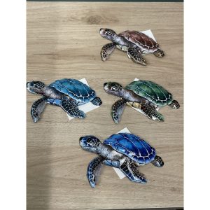 déco murale petite tortues