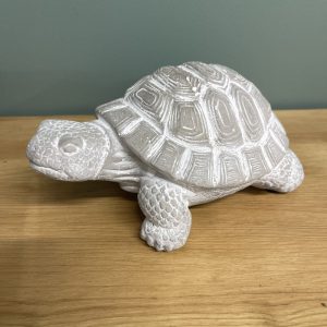 tortue béton bébé