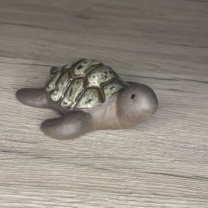 Tortue dooly olive