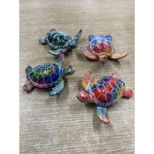 tortue de mer coloré