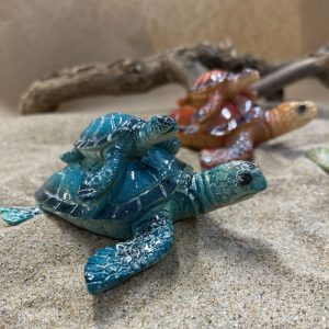 tortue de mer avec bébé